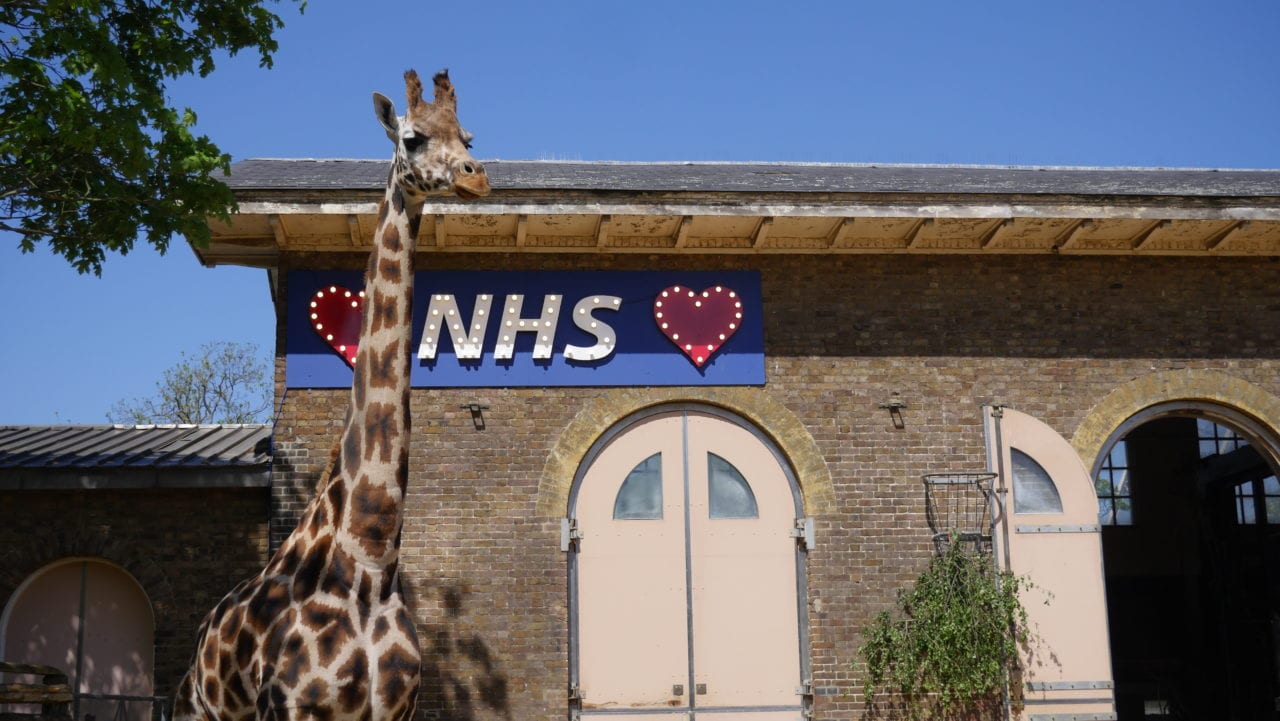 Visit ZSL London Zoo London Planner Sightseeing