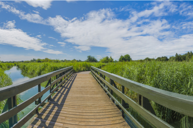 WWT London Wetland Centre