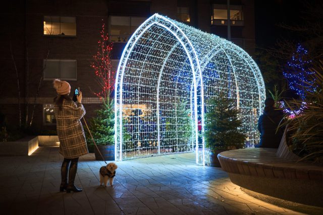 Belgravia - Halkin Arcade 2020 Christmas Lights (3)