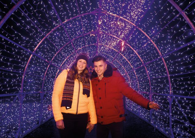 WWT ILLUMINATURE TUNNEL APPEARING AT WWT LONDON WETLAND CENTRE, BARNES THIS AUTUMN