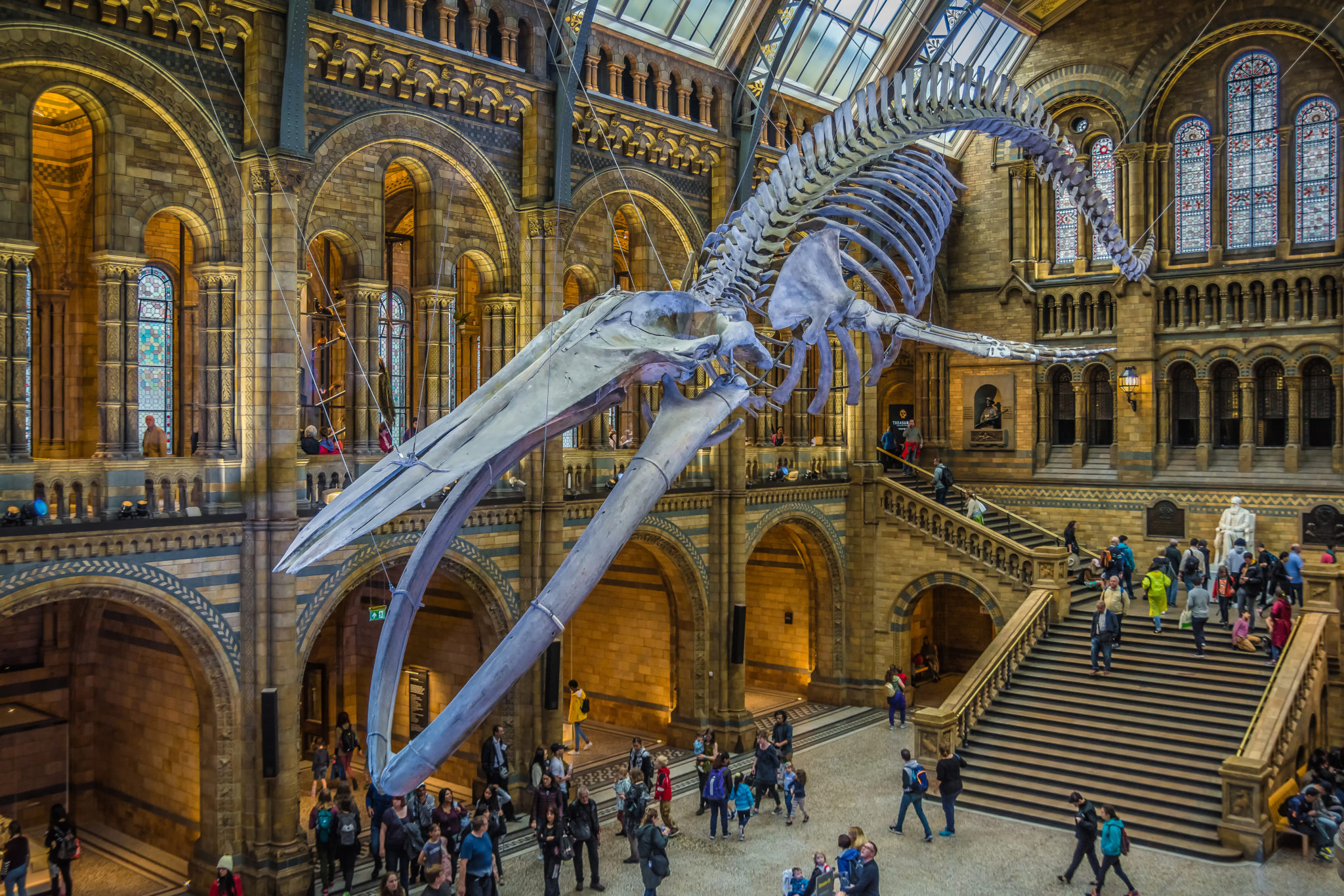 National History Museum London Opening Times