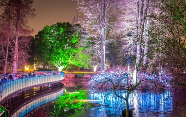 Kew,Gardens,In,Christmas,Time,,London,,Uk