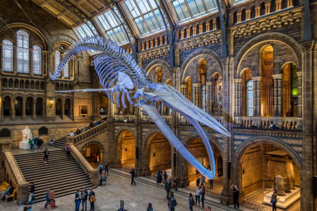 16 of the best science days out in London and beyond - London Planner