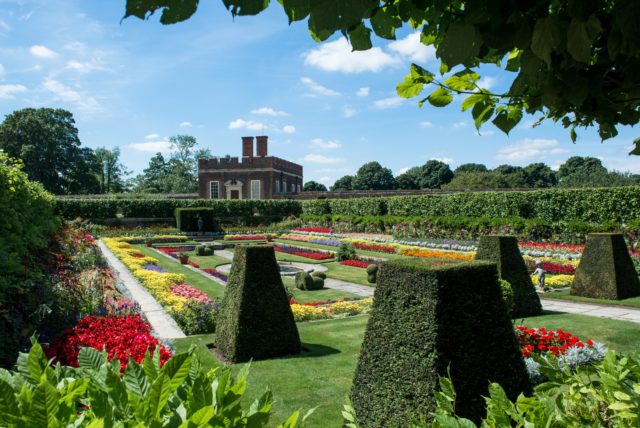 The Sunken Gardens at Hampton Court Palace © Historic Royal Palaces