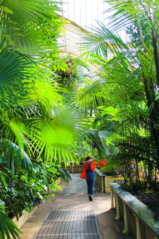 Walk through the jungle at Kew © Viola Favaretto via unsplash.com