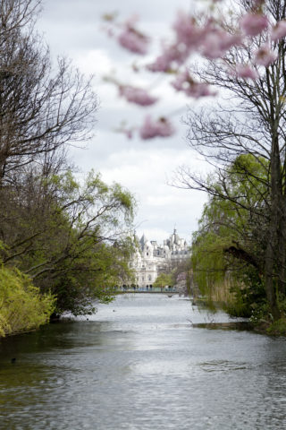 Blue Bridge and Horse Guards Parade from St James's Park © The Royal Parks
