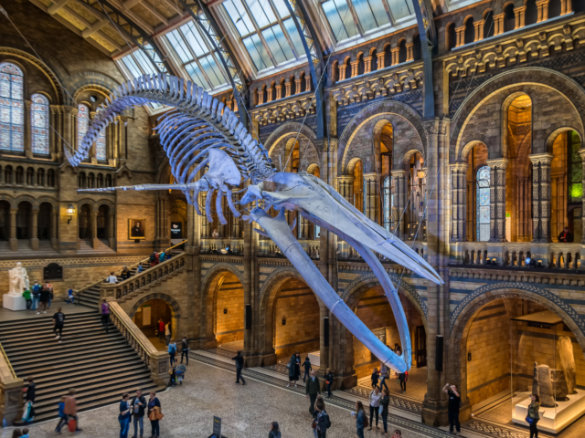 https://londonplanner.com/wp-content/uploads/2022/12/Natural-History-Museum-Featured-Image-640x480.png