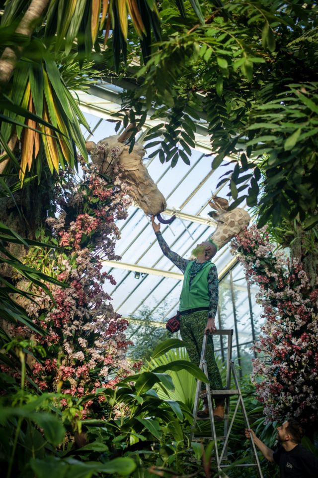 The Orchid Festival at Kew © RBG Kew