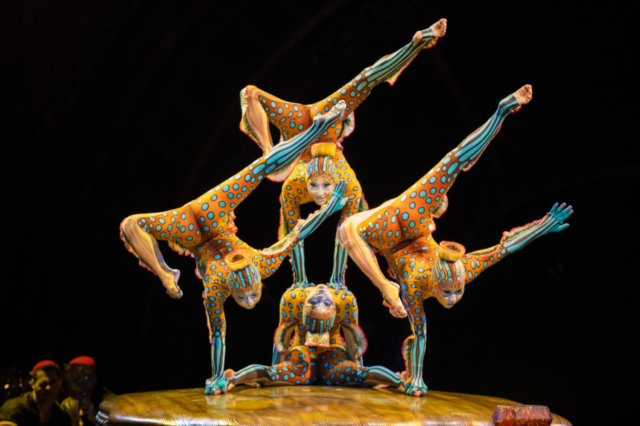 Contortionists wriggle around like electric eels at Cirque du Soleil's KURIOS © Martin Girard