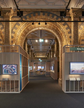 WPY58 Gallery space © Trustees of the Natural History Museum London