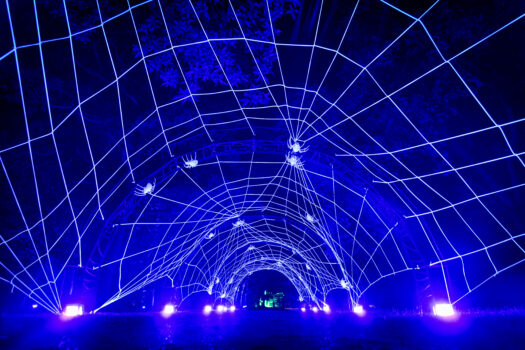 A giant cobweb installation at Halloween at Kew