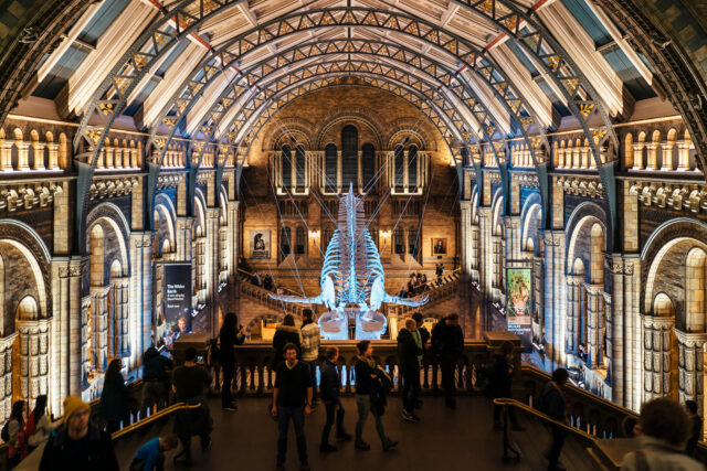 Hintze Hall at London's Natural History Museum is pictured from one of the higher floors, from the perspective of the balcony that overlooks Hope the Blue Whale. The skeleton hangs from the ceiling above the hall below.