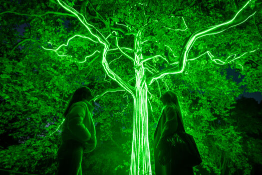 Visitors look up at a tree illuminated with neon green lights for Halloween at Kew