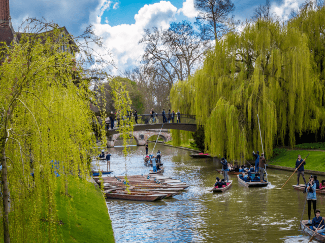 https://londonplanner.com/wp-content/uploads/2025/02/Cambridge-Punting-dreamstime_m_109461997-640x480.png