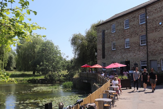 Summer Mill Pond - Photo from Visit Cambridge