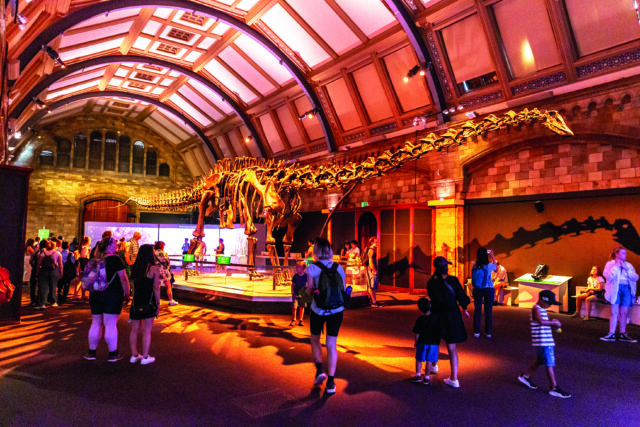 Natural History Museum © Dreamtime
