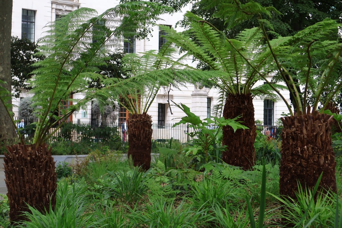 Finsbury Circus Gardens - Image Credit Realm