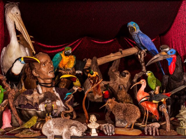 https://londonplanner.com/wp-content/uploads/2025/10/The-Bird-Cabinet-1-640x480.jpg