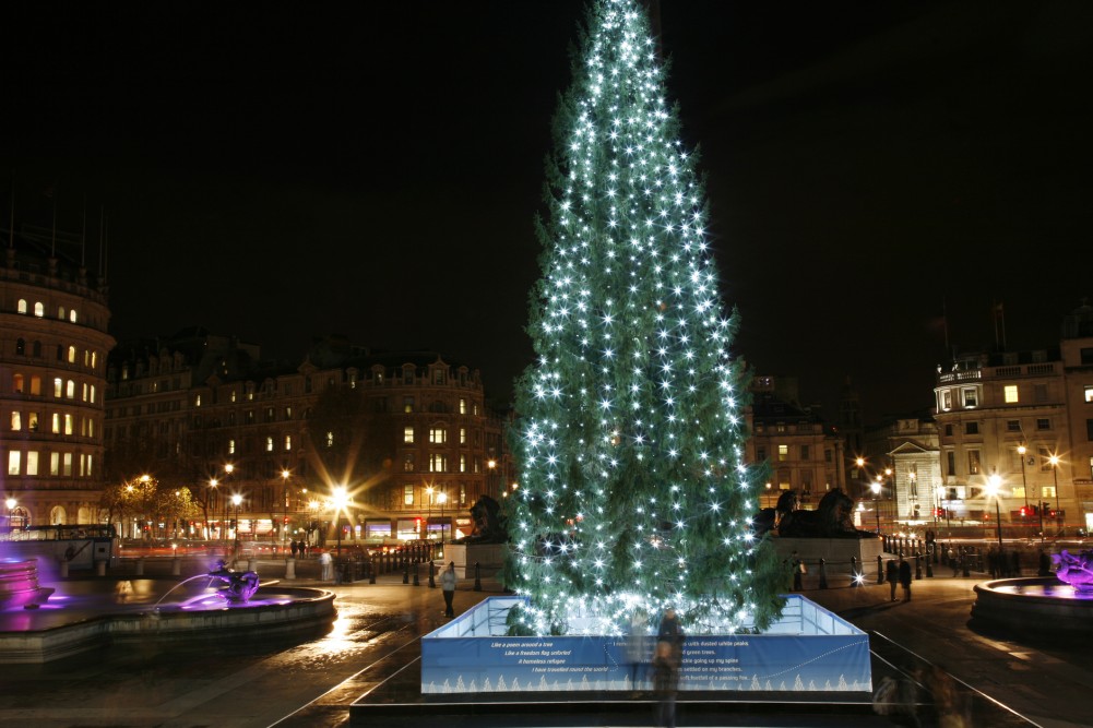 © Anizza | Dreamstime.com