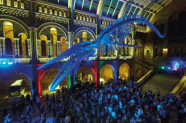 Culture, But Make It Fun