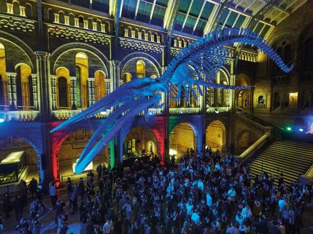 https://londonplanner.com/wp-content/uploads/2026/02/©-Trustees-of-the-Natural-History-Museum-London-2018-Silent-Disco_261018-10574_0131-640x480.jpg
