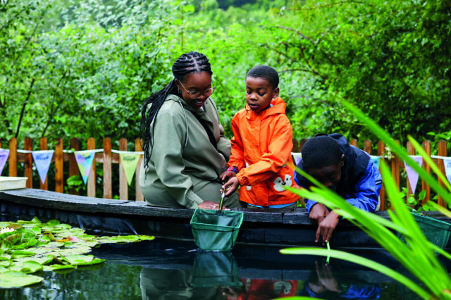 pond dipping at WWT