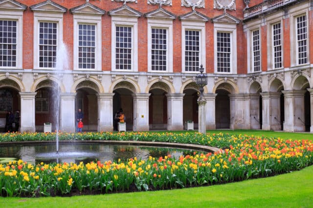 The Courtyard at Hampton Court full of yellow tulips