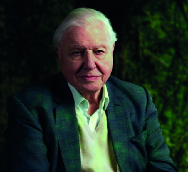 Walk On The Wild Side