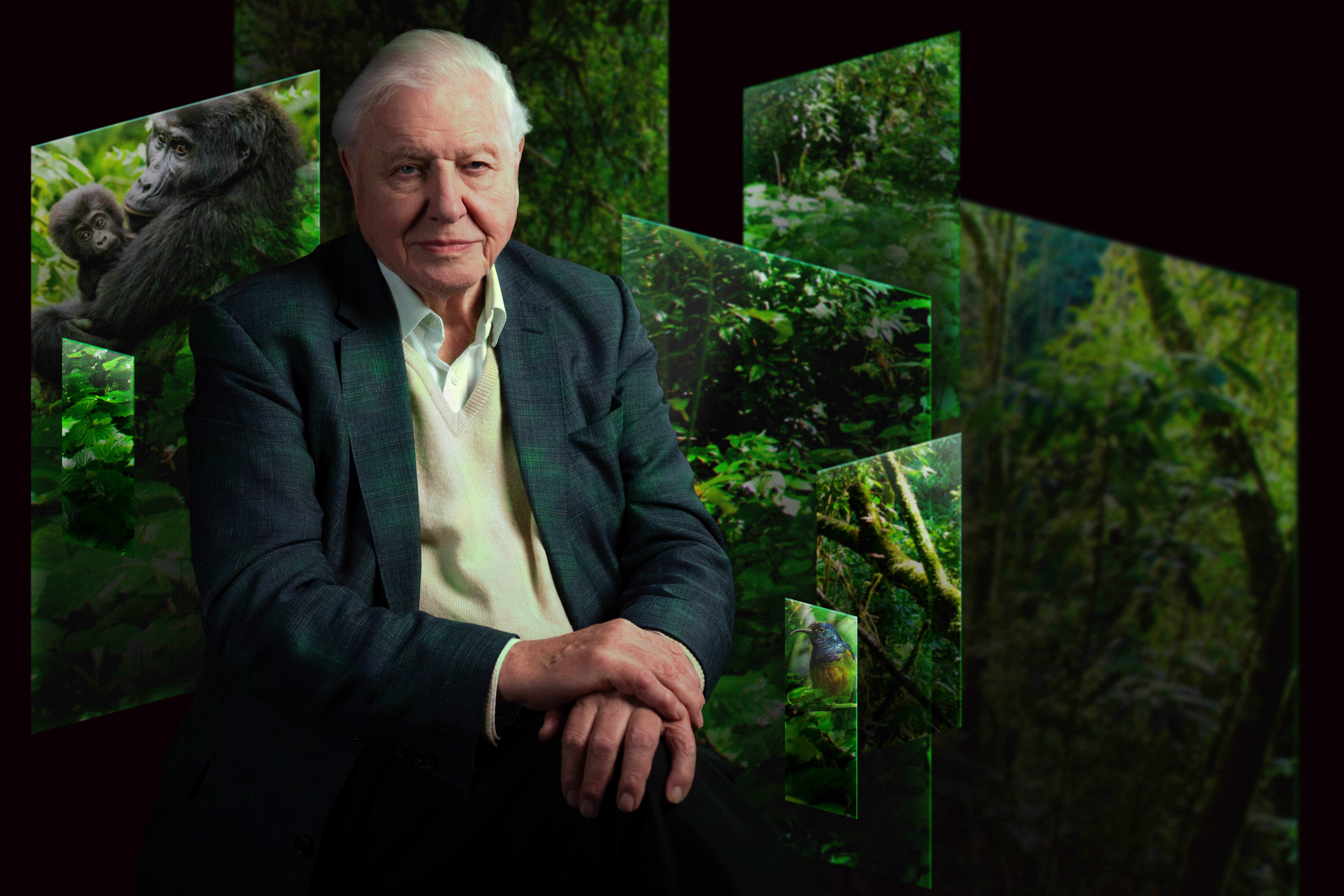 https://londonplanner.com/wp-content/uploads/2026/04/Our-Story-with-David-Attenborough-ART-NO-TEXT-c-Trustees-of-the-Natural-History-Museum.jpg