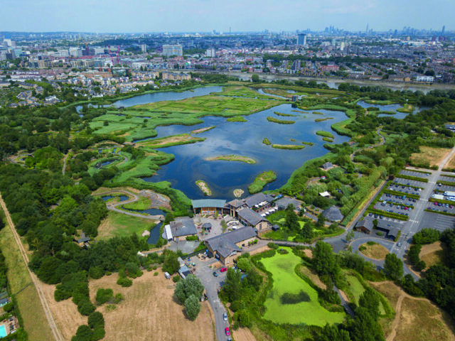 WWT London Wetland Centre
