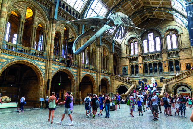 Natural History Museum