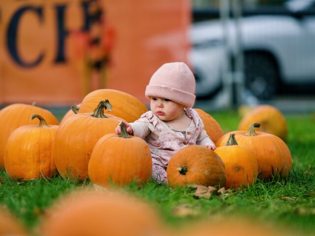 https://londonplanner.com/wp-content/uploads/2026/09/The-London-Pumpkin-Patch_3-640x480.jpeg