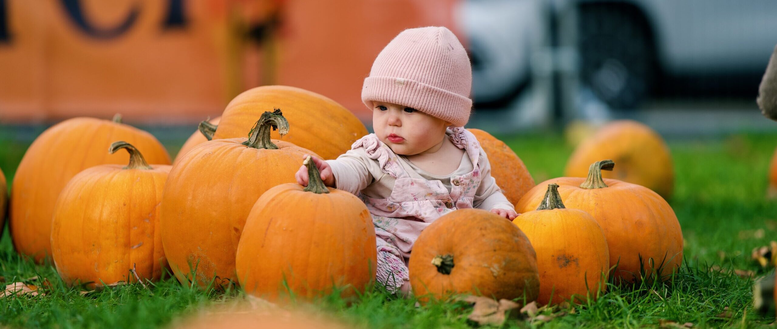 Pumpkins, Planets And Piccadilly