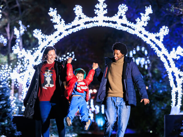 https://londonplanner.com/wp-content/uploads/2026/10/Christmas-at-Kew-credit-RG-Live-by-Luke-Dyson-640x480.jpg