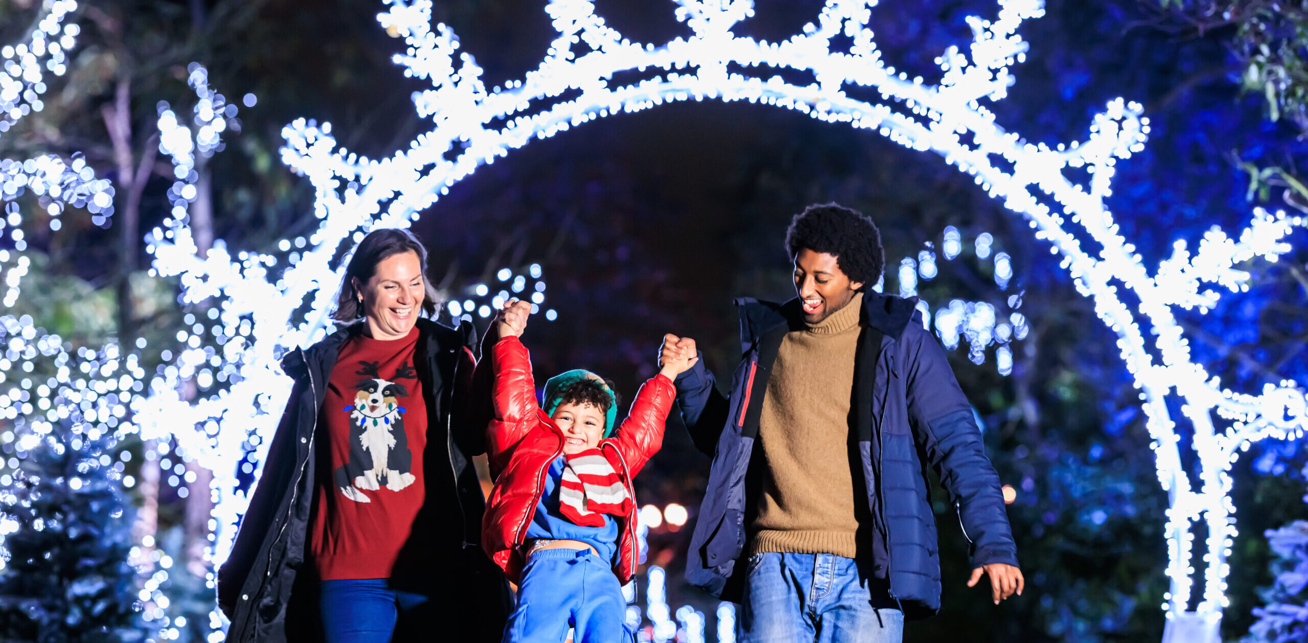 A Sparkling Season