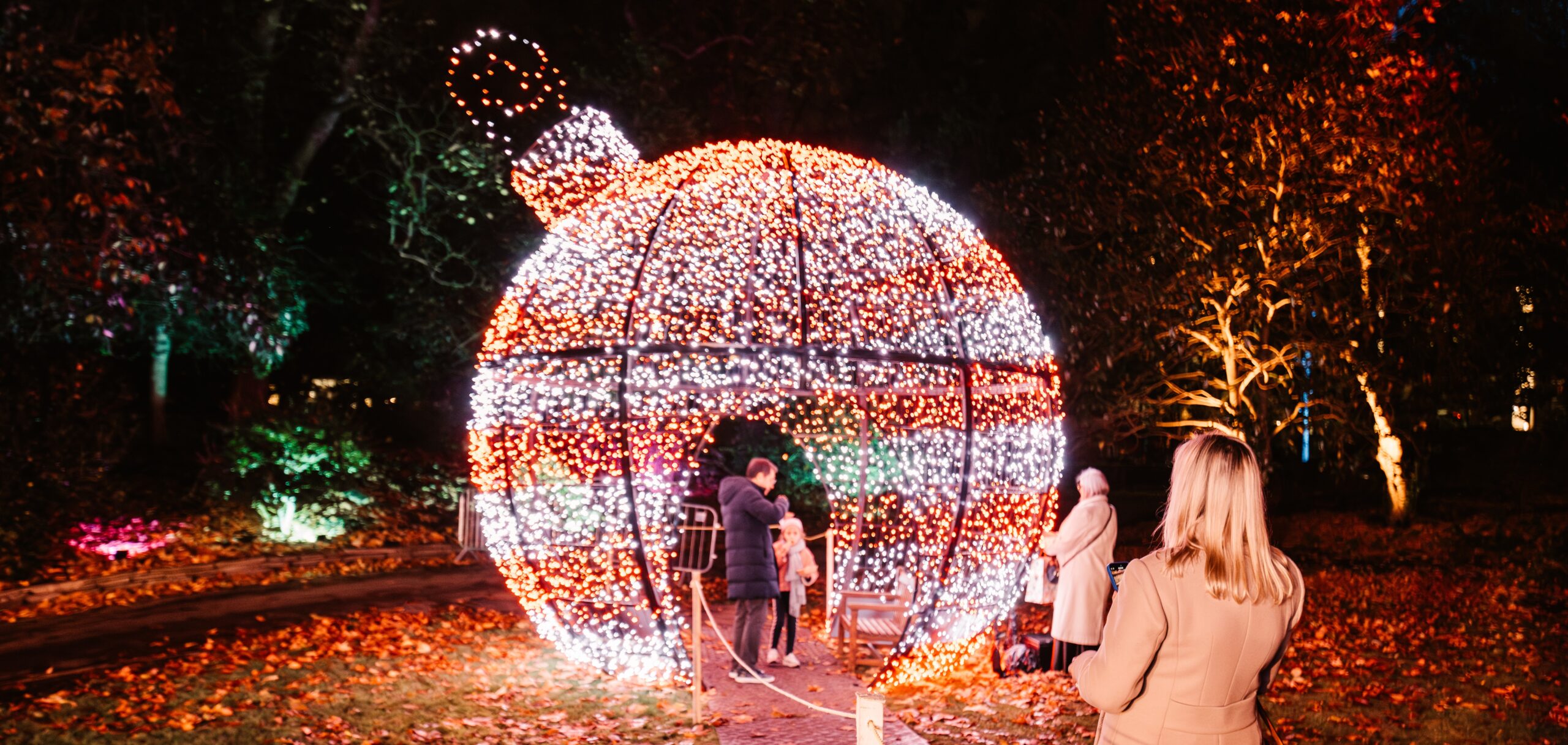 A Sparkling Season